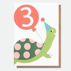 Tortoise - Age 3