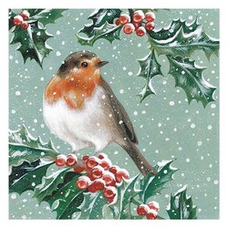 Frosted River Robin 8 Card Pack