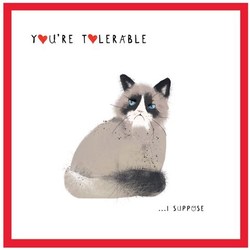 You're Tolerable... I Suppose