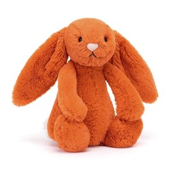 Bashful Tangerine Bunny - Small