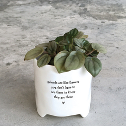 Planter - Friends Are Like Flowers