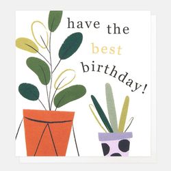 Plants - Happy Birthday