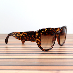 Chunky Tortoiseshell Frame Sunglasses